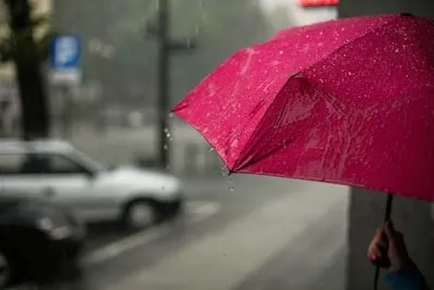 「梅雨の安全運転と交通事故リスク」